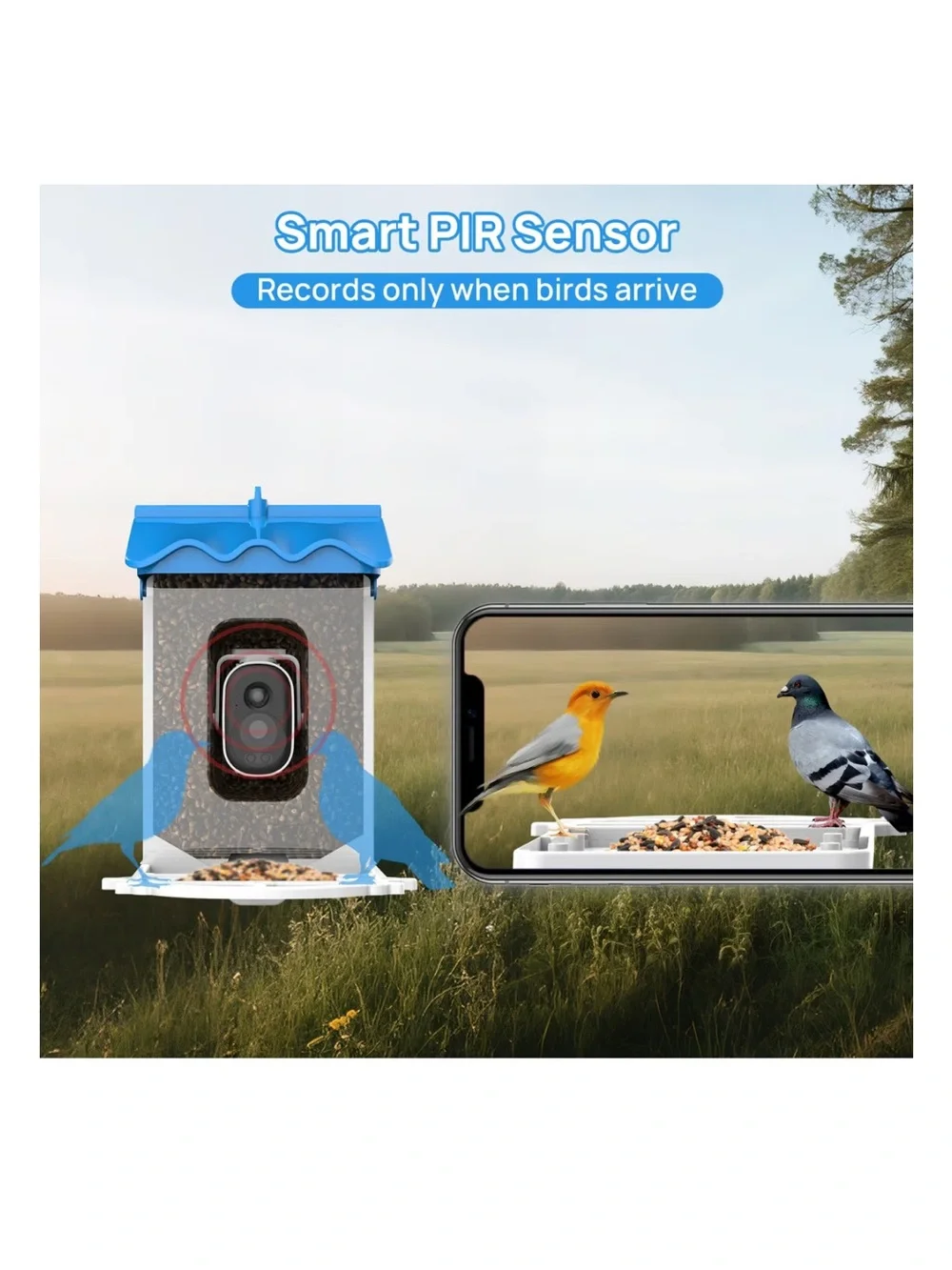 NWT Beuteka Smart AI Birdfeeder w/ Camera and Solar Power